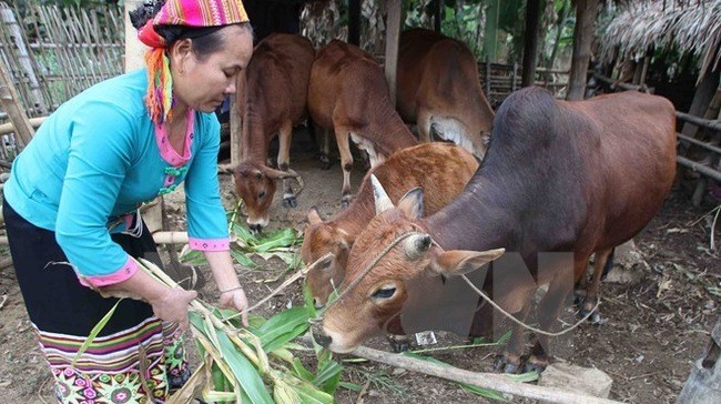 ຄົ້ນຄວ້າການສ້າງມາດຖານທຸກຍາກໃໝ່ຕາມທິດຫຼາຍຮູບການ - ảnh 1